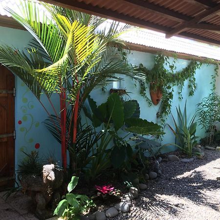 Sueno Grande B&B Puerto Viejo de Talamanca Ngoại thất bức ảnh