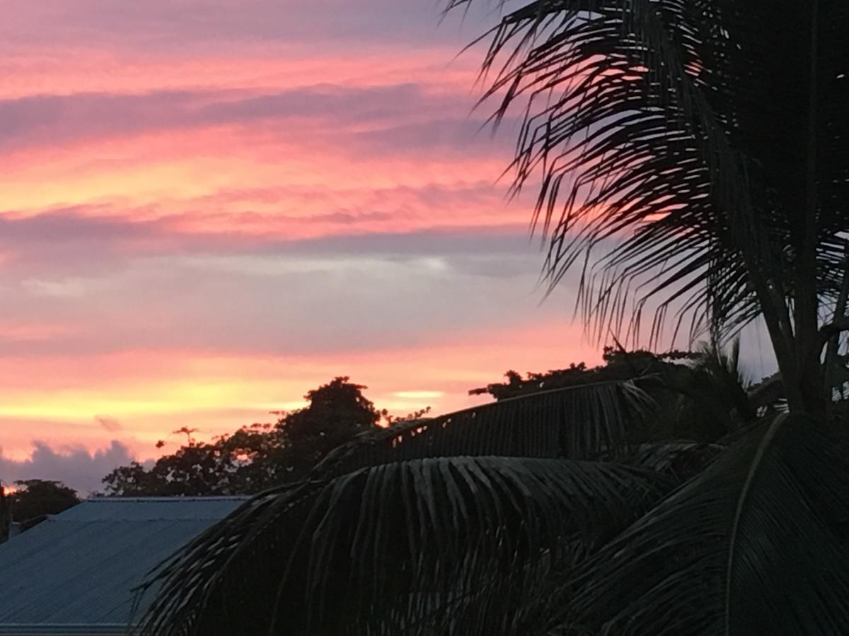 Sueno Grande B&B Puerto Viejo de Talamanca Ngoại thất bức ảnh