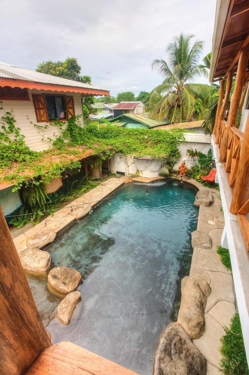Sueno Grande B&B Puerto Viejo de Talamanca Ngoại thất bức ảnh