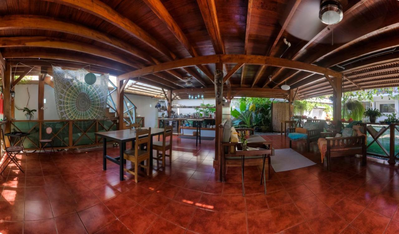 Sueno Grande B&B Puerto Viejo de Talamanca Ngoại thất bức ảnh